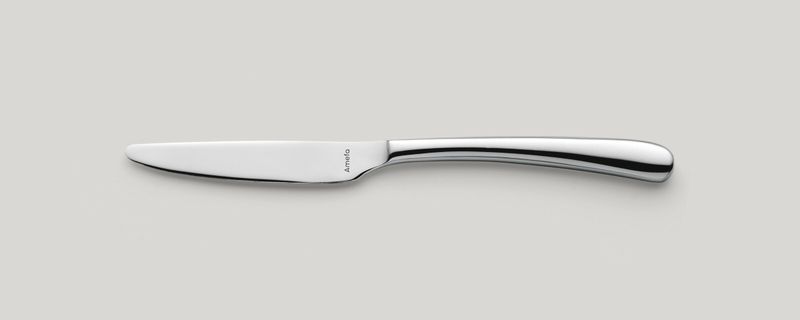 Amefa - Coltello da frutta manico pieno 185 mm Newton