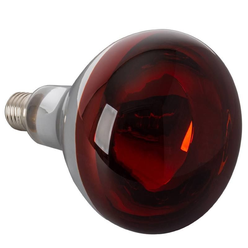 Lampadina di ricambio luce rossa - Horecatech
