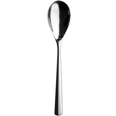 Churchill - Cucchiaio da tazzina 11 cm Evolve