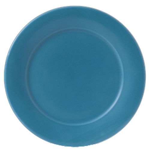 Churchill - Piatto piano con falda 20,3 cm Future Care
