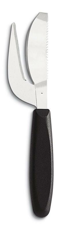 Squamapesce - Ausonia