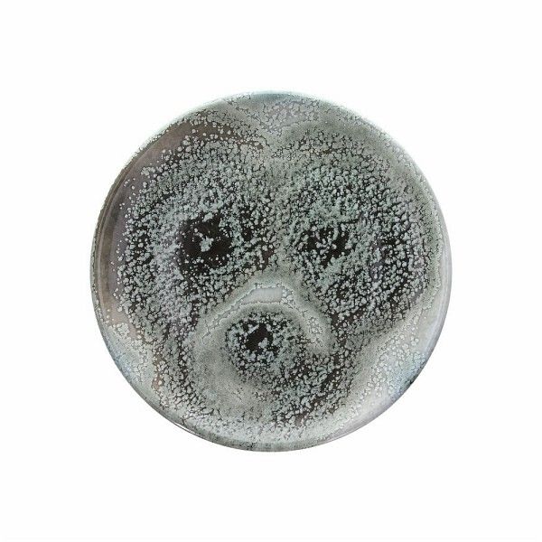 Tognana - Piatto piano 27 cm Attitude Iceland