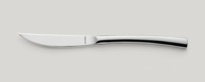 Amefa - Coltello da bistecca manico pieno 222 mm Aurora