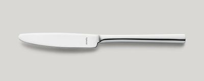 Amefa - Coltello da pranzo manico pieno 225 mm Colorado