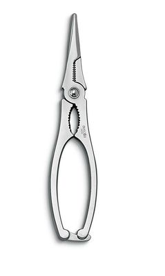 Pinza Aragosta - Ausonia