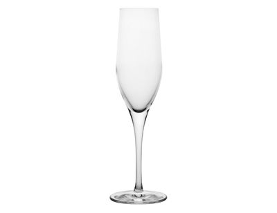 Flute Champagne 17,5 cl Exquisit - Stölzle Lausitz