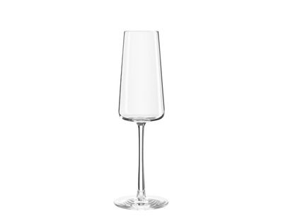 Calice Flut Champagne 24 cl Power - Stölzle Lausitz