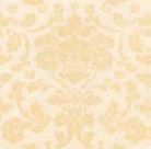 Tovagliolo Napkin 40x40 conf 800 pz