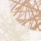 You&amp;Me Piegato/Folded 120x40 conf 200 pz