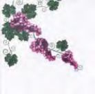 Tovagliolo Napkin 40x40 conf 800 pz