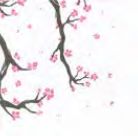 Tovaglia Tablecloth 100x100 conf 100 pz