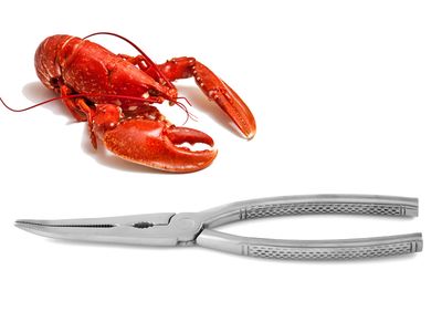 Pinze per aragosta 20,7 cm - Weis