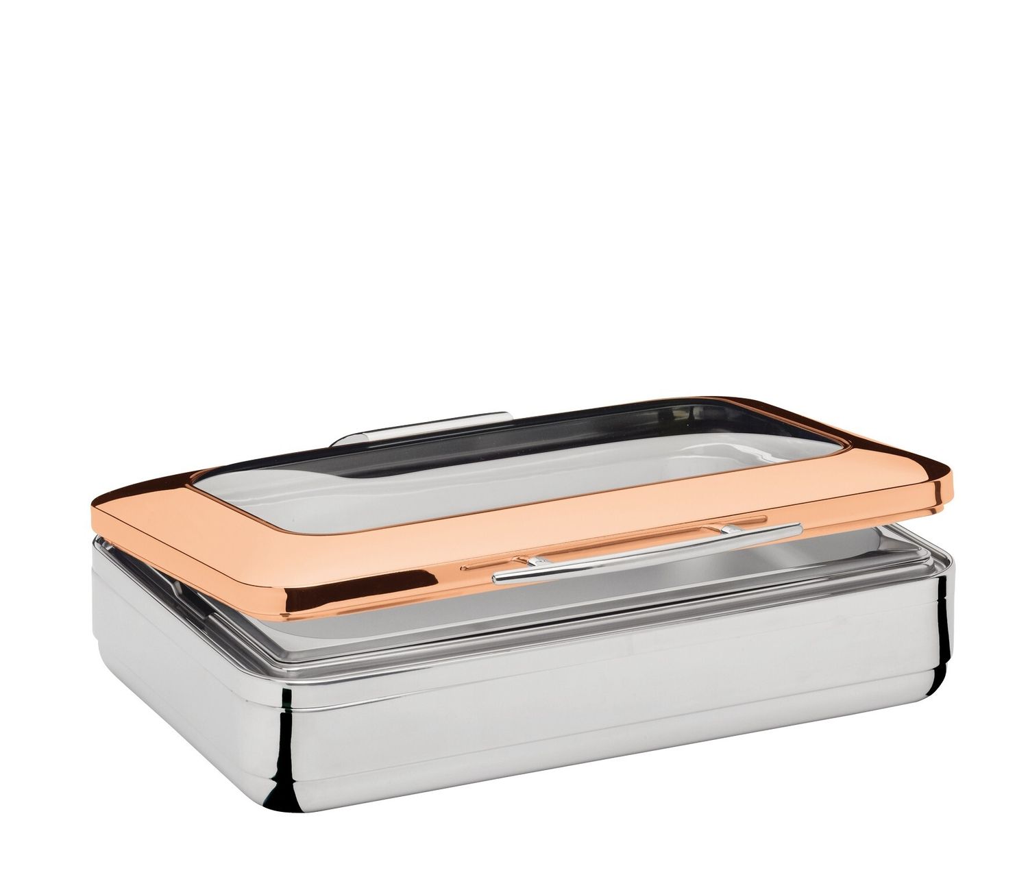 Spring - Scaldavivande GN 1/1 Rame CBS Advantage