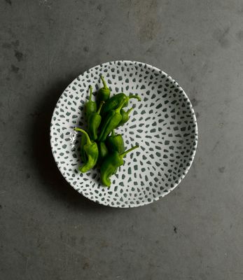 Terrazzo Green