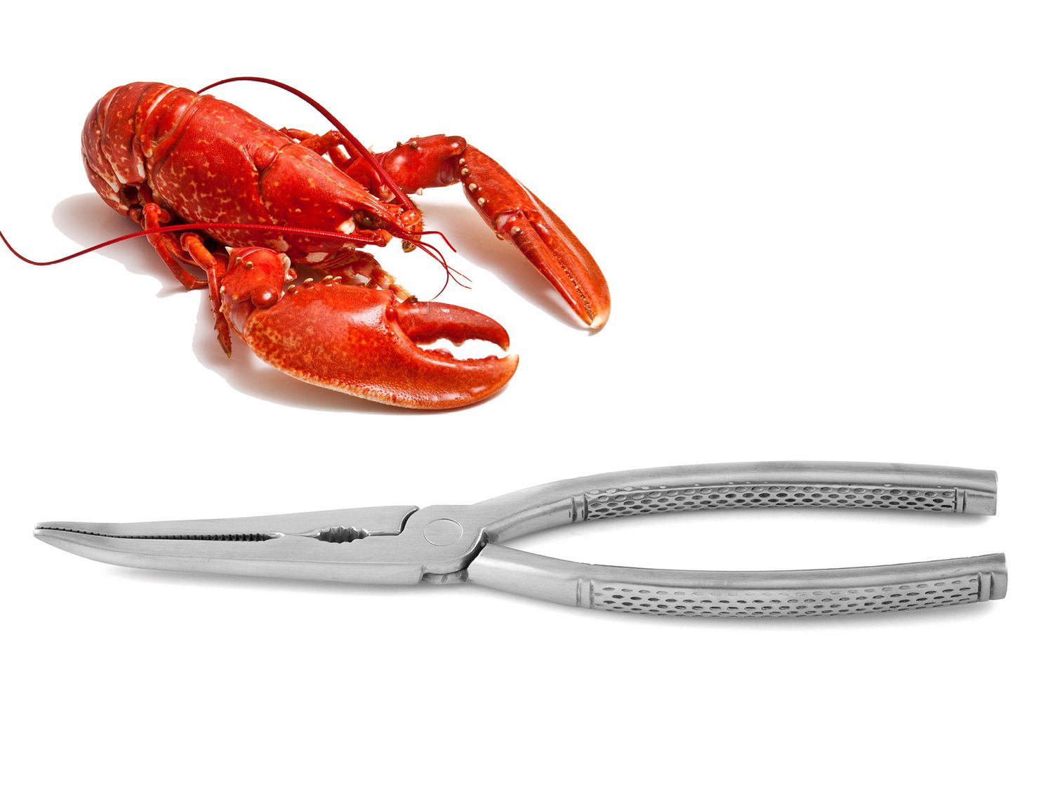 Pinze per aragosta 20,7 cm - Weis