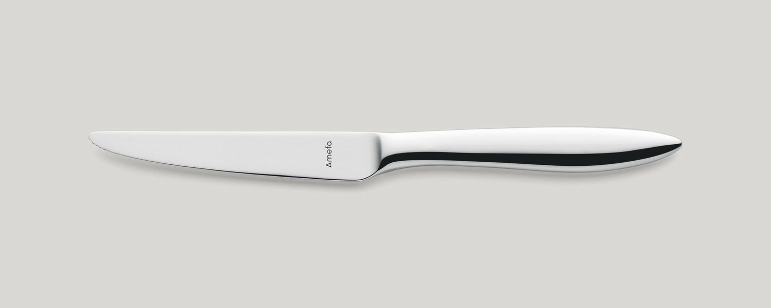 Amefa - Coltello da bistecca manico pieno 230 mm Tendence