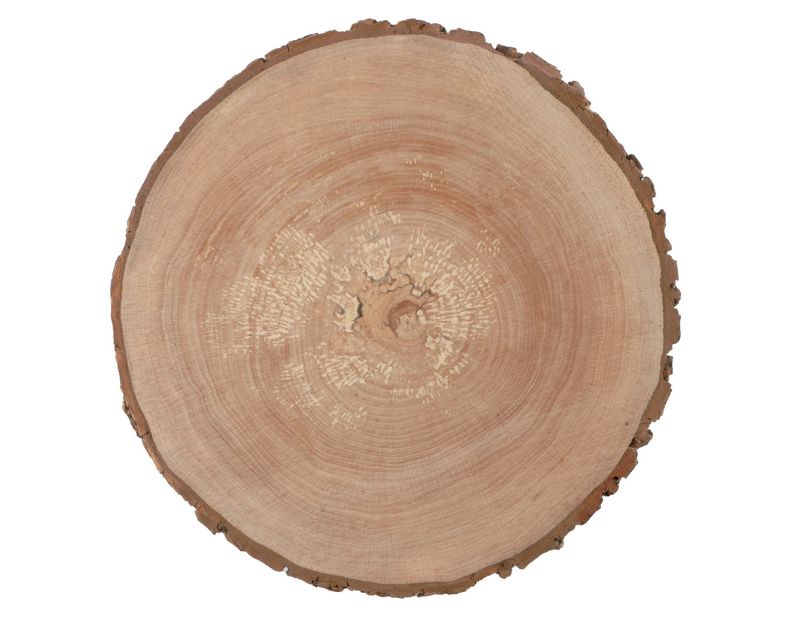 Horeca Professional - Tagliere corteccia rotondo 28 - 32 cm