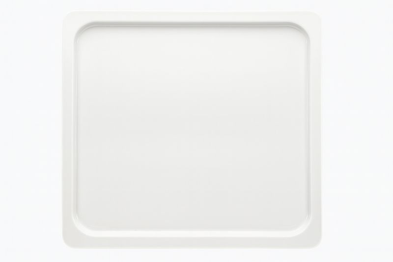 Vassoio Gastronorm 2/3 0,92 l Gn Function - Bauscher