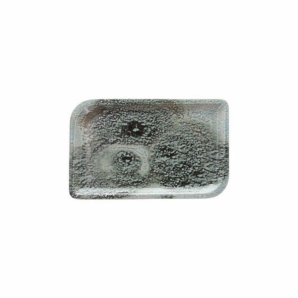 Tognana - Piatto rettangolare 24 cm Attitude Iceland