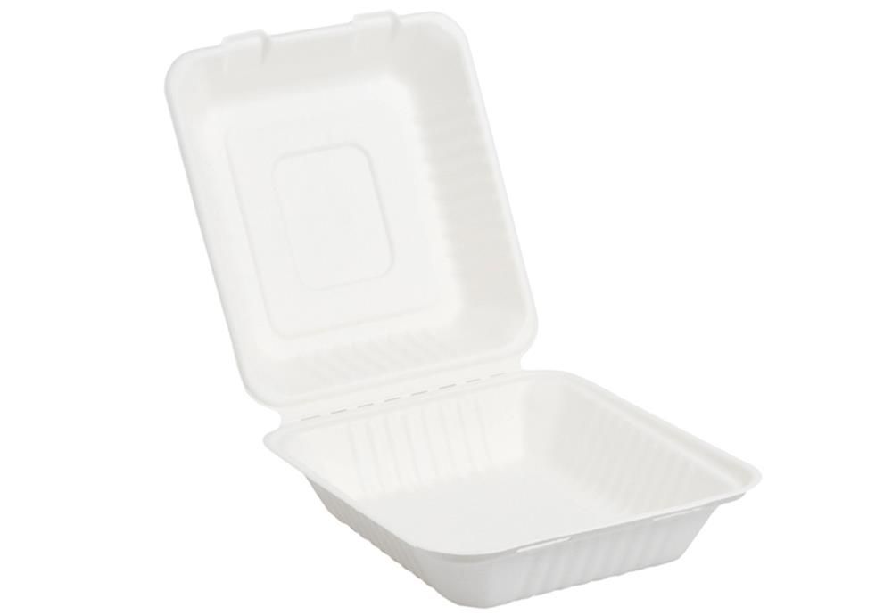 Set 250 Box take away in polpa 23 x 23 cm - Byo