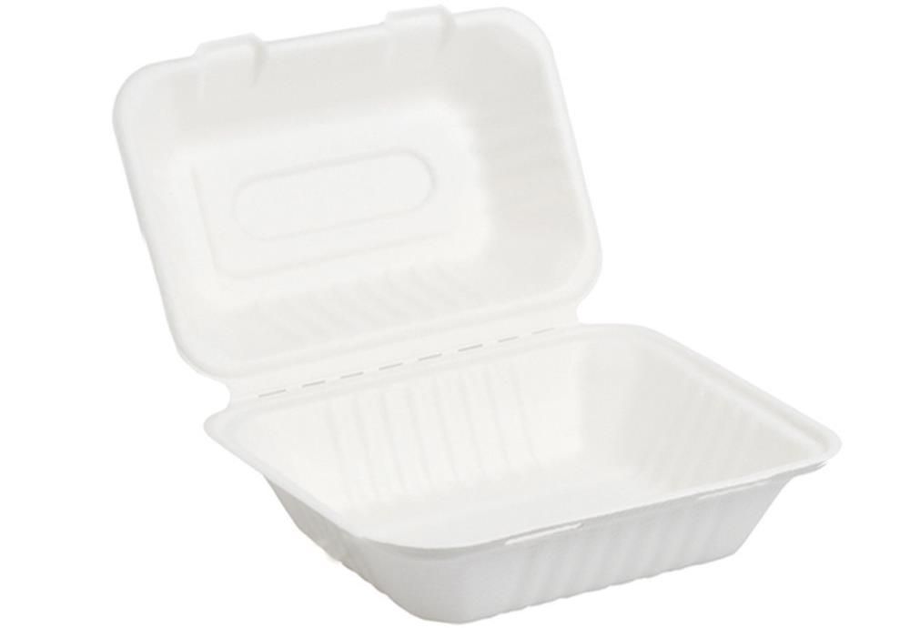 Set 250 Box take away in polpa 23 x 15,5 cm - Byo