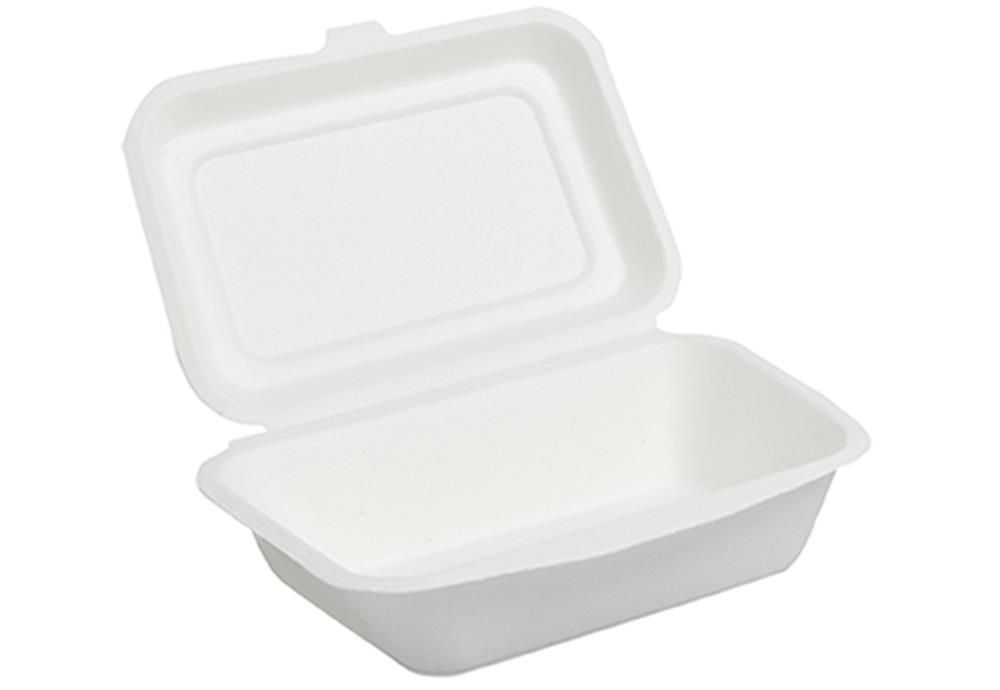 Set 500 Box take away in polpa 18,5 x 13,5 cm - Byo