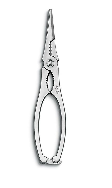 Pinza Aragosta - Ausonia