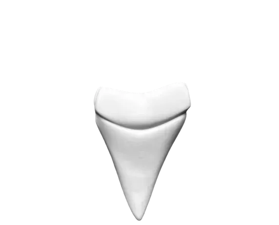 Piattino Inferiore A Dente Di Squalo 14 X 10 cm Oceancook - Cookplay