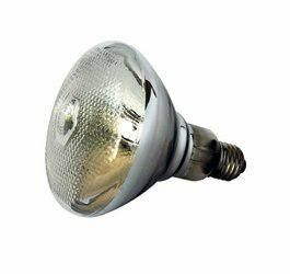 Lampadina di ricambio - Horecatech