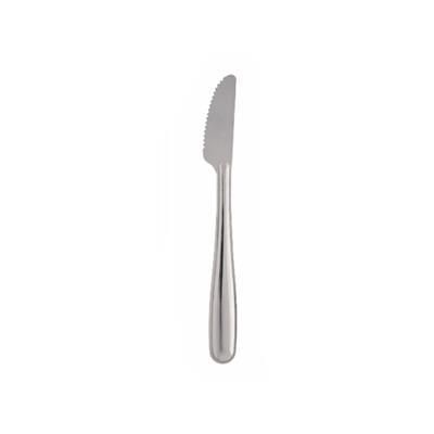 Set 50 Pezzi Coltello Tavola 160 mm Use &amp; Reuse - Pintinox
