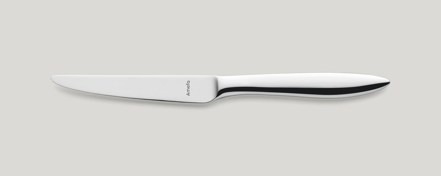 Coltello da dessert manico pieno 210 mm Tendece - Amefa