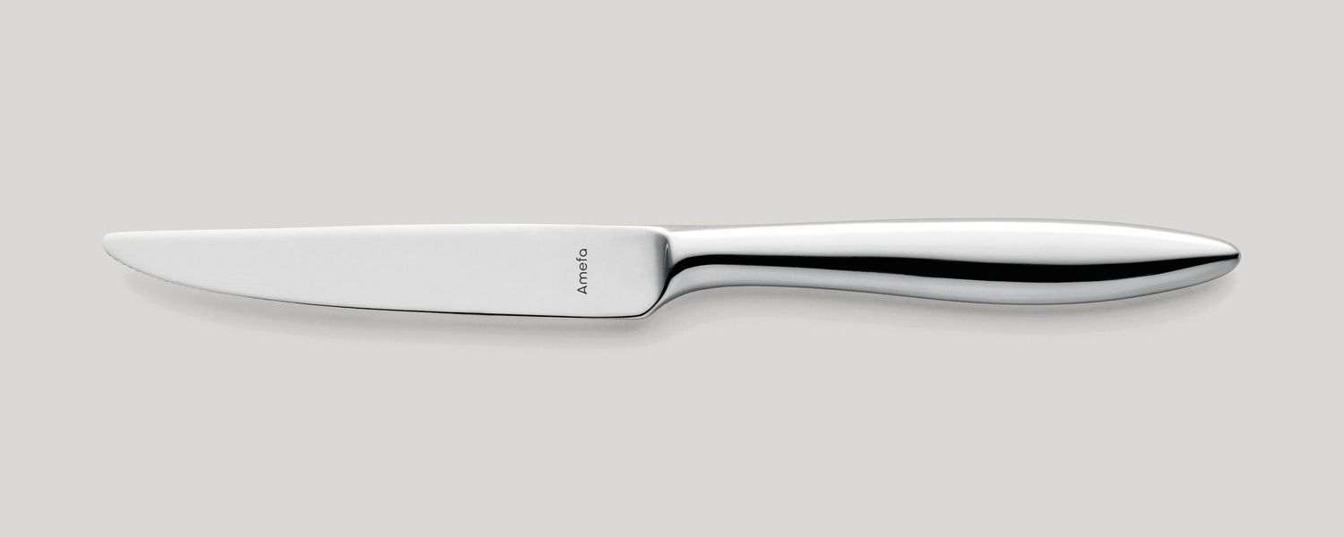Coltello da pranzo manico pieno 232 mm Tendence - Amefa