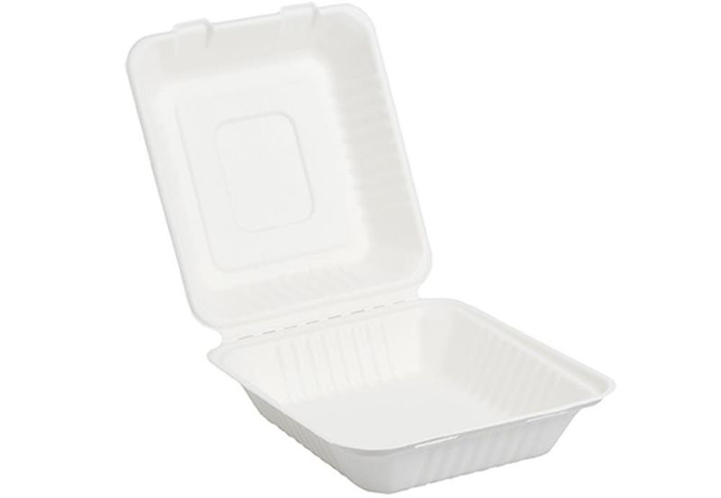 Set 250 Box take away in polpa 22 x 20 cm - Byo