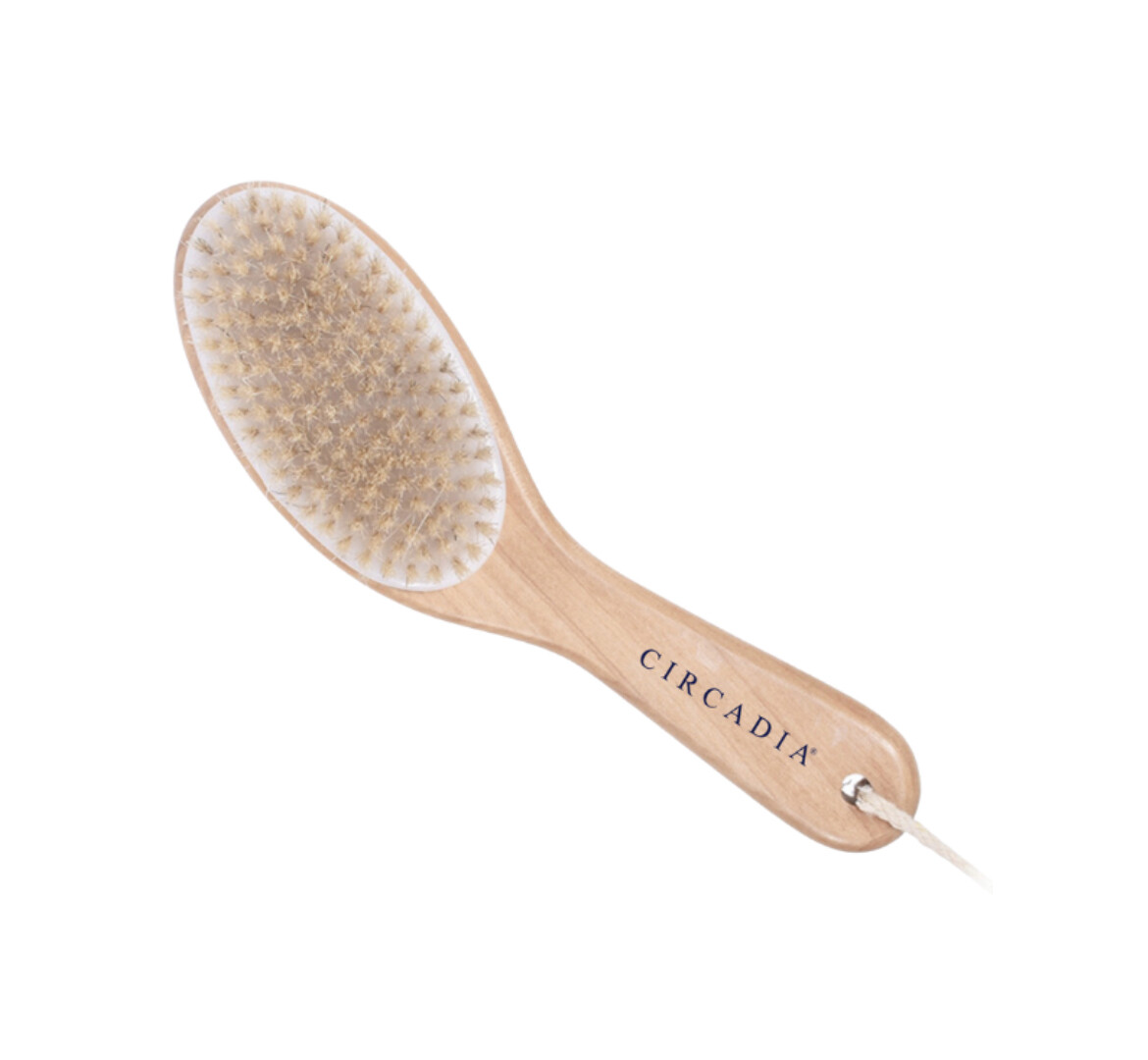 Circadia Body Brush