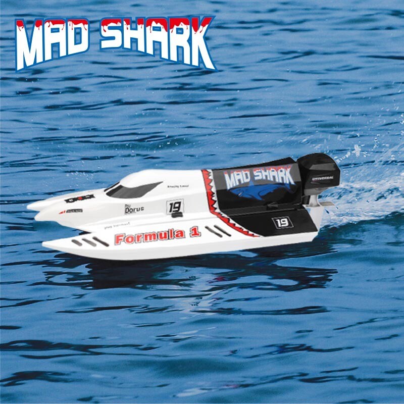 Catamarano radiocomandato JOYSWAY 8205