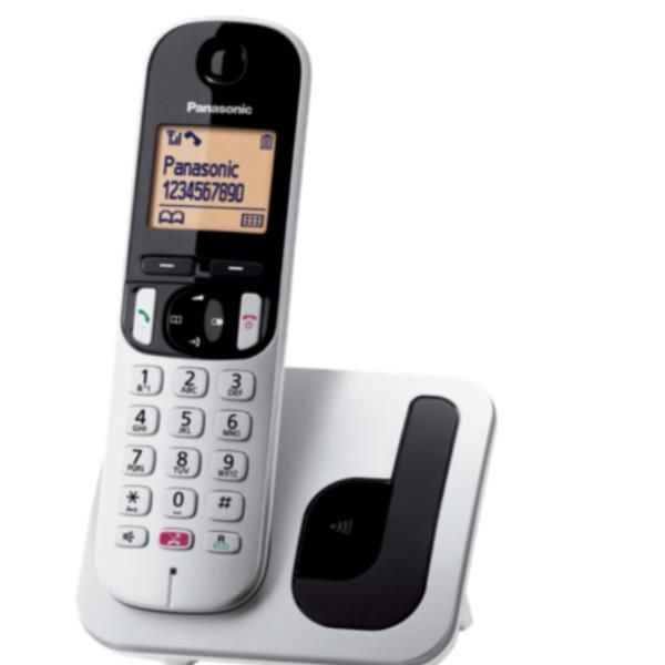 TELEFONIA FISSA - CORDLESS KX-TGC250JTS SILVER
