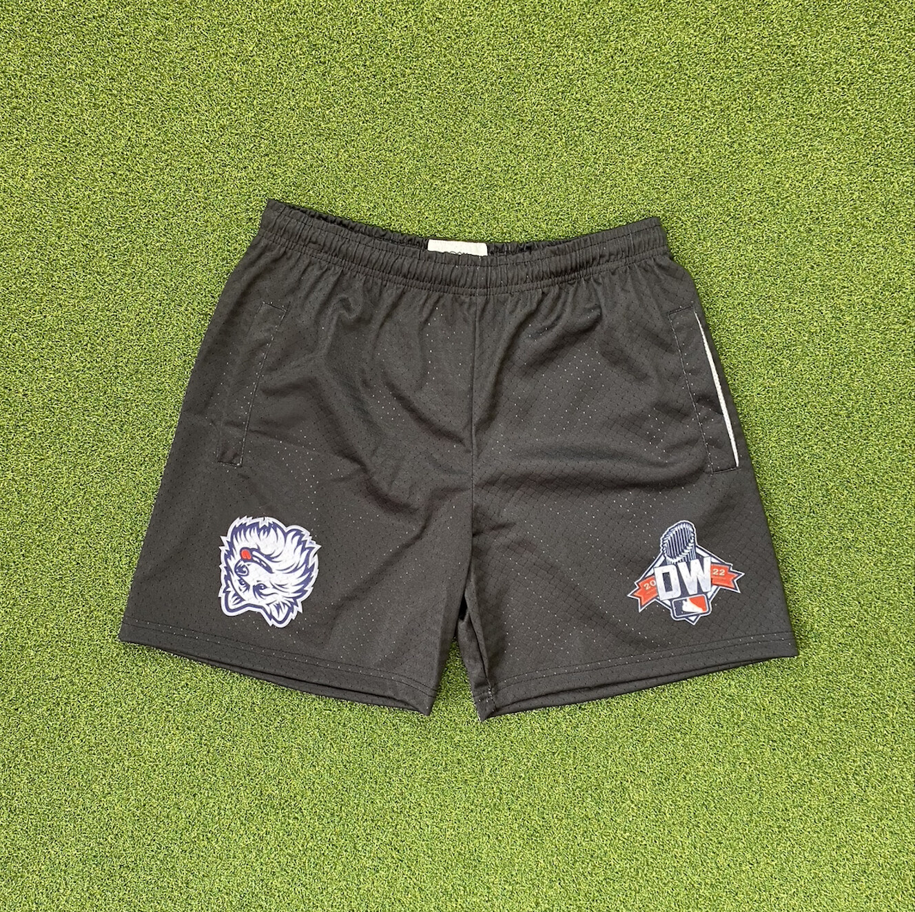 Drais World *UConn Shorts*