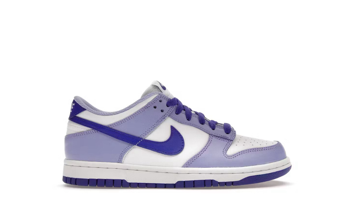 Nike Dunk Low Blueberry