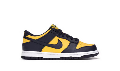 Nike Dunk Low Michigan (Blue Yellow)