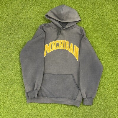 Michigan State Hoodie