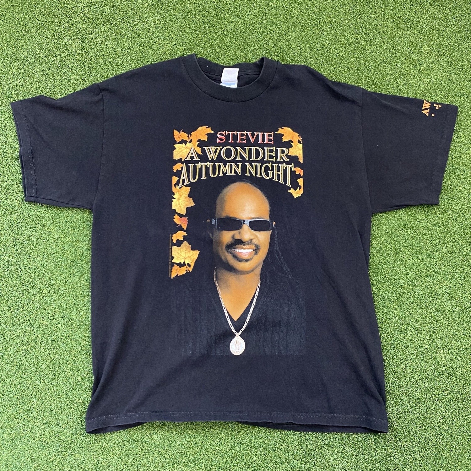 Stevie Wonder Braile Shirt