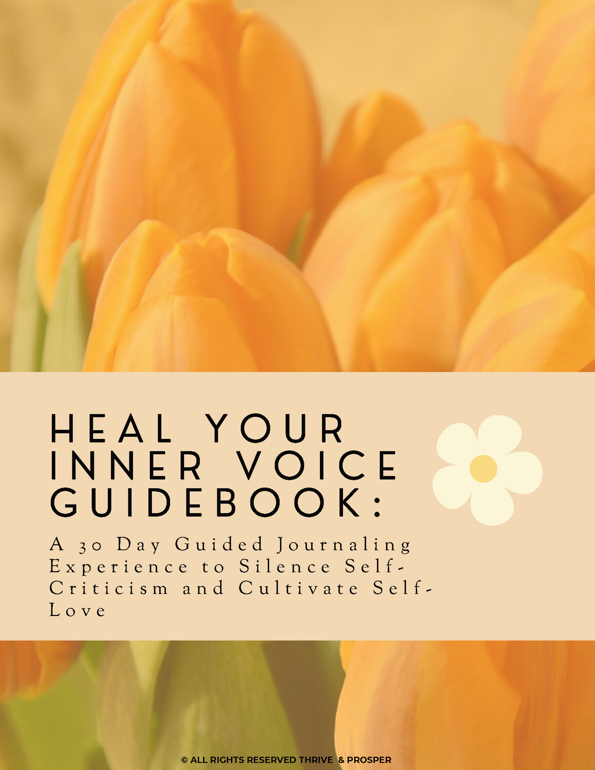 Heal Your Inner Voice Guidebook