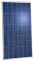 Panneau solaire Jinko 250W polycristallin, 60 cellules. Cadre noir. Certifications CSA