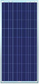 Panneau solaire Greenlite 30W polycristallin, 36 cellules. Certifié CE.