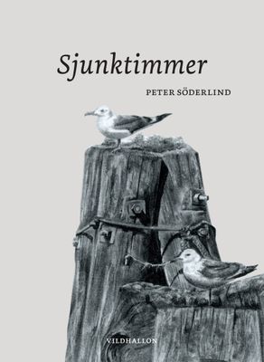 [Bok, danskt band] Sjunktimmer
