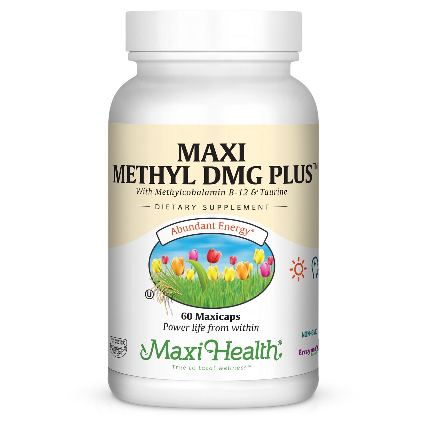 Maxi Health, Kosher Maxi Methyl DMG Plus - 60 Vegetarian Capsules
