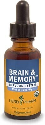 Brain &amp; Memory