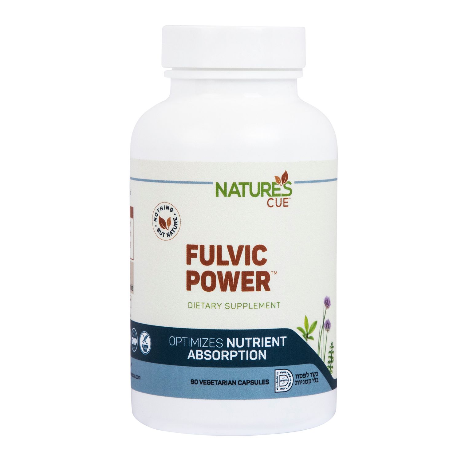 Natures Cue, Fulvic Power to Optimize Nutrient Absorption - 90 Vegetarian Capsules - Kosher for Passover