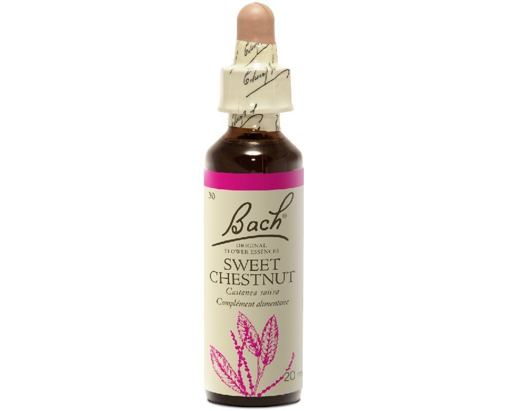 Bach, SWEET CHESTNUT, Offers Peace Of Mind, Oral Liquid Dropper - 20 mL