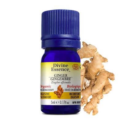 Divine Essence, GINGER Organic, A Carminative &amp; Antispasmodic Relieves Digestive Discomfort, Essential Oil - 5 mL